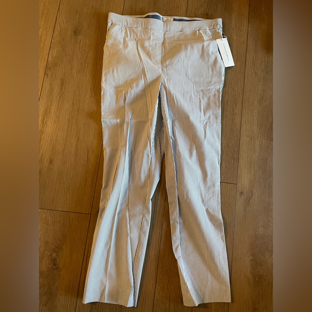 Striped Ankle Pants
